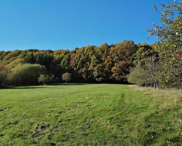 Pfälzer Wald Verein Dahn